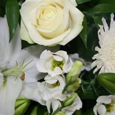Florist&#39;s Choice Hand Tied - White 
