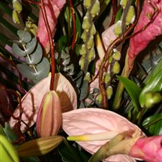 Hand Tied - Tropical Lilies 