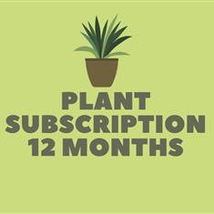 Plant subscription 12 months