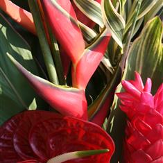 Florist&#39;s Choice Hand Tied - Tropical 