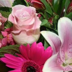 Florist&#39;s Choice Hand Tied - Pink