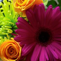 Florist&#39;s Choice Hand Tied - Vibrant 