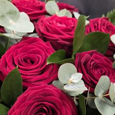 Valentine' s Happy Half Dozen