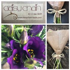 Eco Simplicity Lisianthus Purple