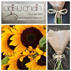 Eco Simplicity Sunflowers