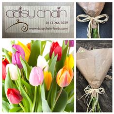 Eco Simplicity Tulips