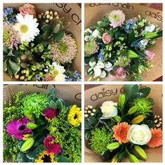 Florist&#39;s Choice - Hand Tied of the Day