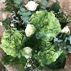Hand Tied - Hydrangea &amp; Roses 