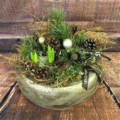 Winter Warmer (hyacinths)