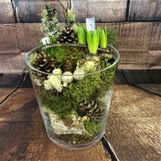 Woodland Stroll (hyacinths)