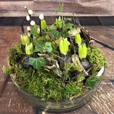 Hand in hand with nature (hyacinth)