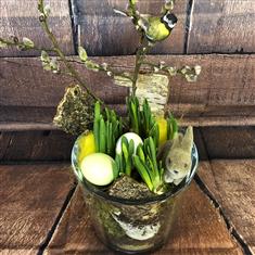 Easter Woodland Stroll (daffodils)