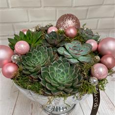 Succulents &amp; baubles 