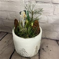 Winter wonderland bulbs