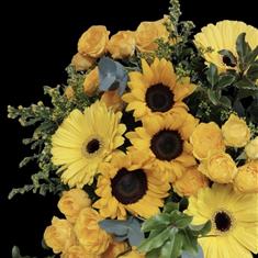 Valentines - Bee's Knees 