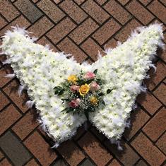 Angel wings 