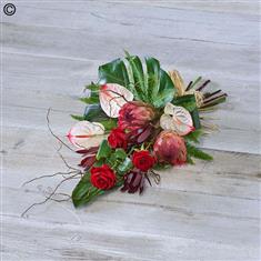 Tropical tied sheaf