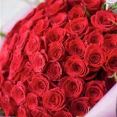 Fifty Fabulous Roses