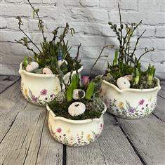 Mothers Day Spring Bulb Garden