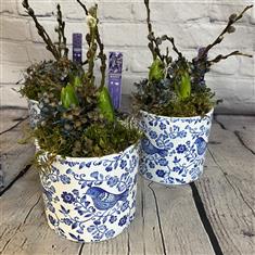 Bluebird Ceramic hyacinths 
