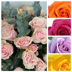 Valentines - NOT red roses