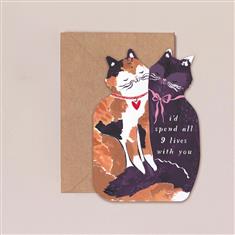Greeting card - All 9 lives