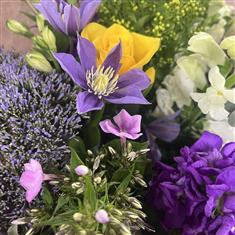 Florist's Choice Hand Tied - Crocus Colours 