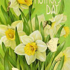 Greeting card - Happy Mother's Day - daffodils