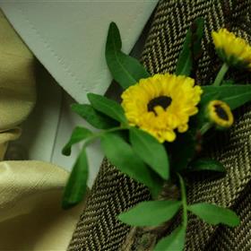 fwthumbSunflower.jpg