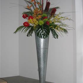 fwthumb549.jpg